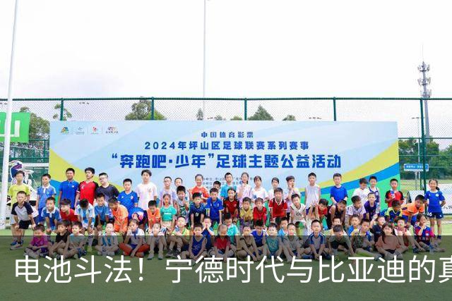电池斗法！宁德时代与比亚迪的真实内幕大揭秘